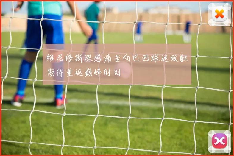 维尼修斯深感痛苦向巴西球迷致歉期待重返巅峰时刻