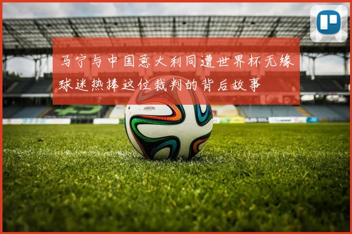 马宁与中国意大利同遭世界杯无缘球迷热捧这位裁判的背后故事