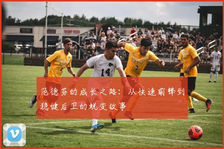 范德芬的成长之路:从快速前锋到稳健后卫的蜕变故事